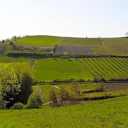 Hotel San Giacomo 3*